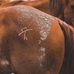 Haute On The Ranch... In Custom {Brand} Ball Caps!