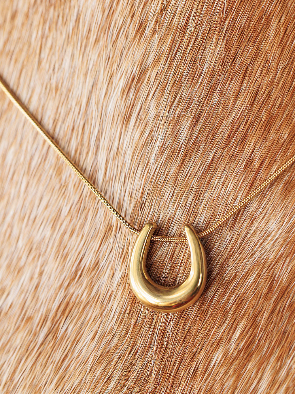 The Lucky Necklace {Gold + Silver} by Savannah Sevens western life{&}style is shown against a light brown cowhide background.