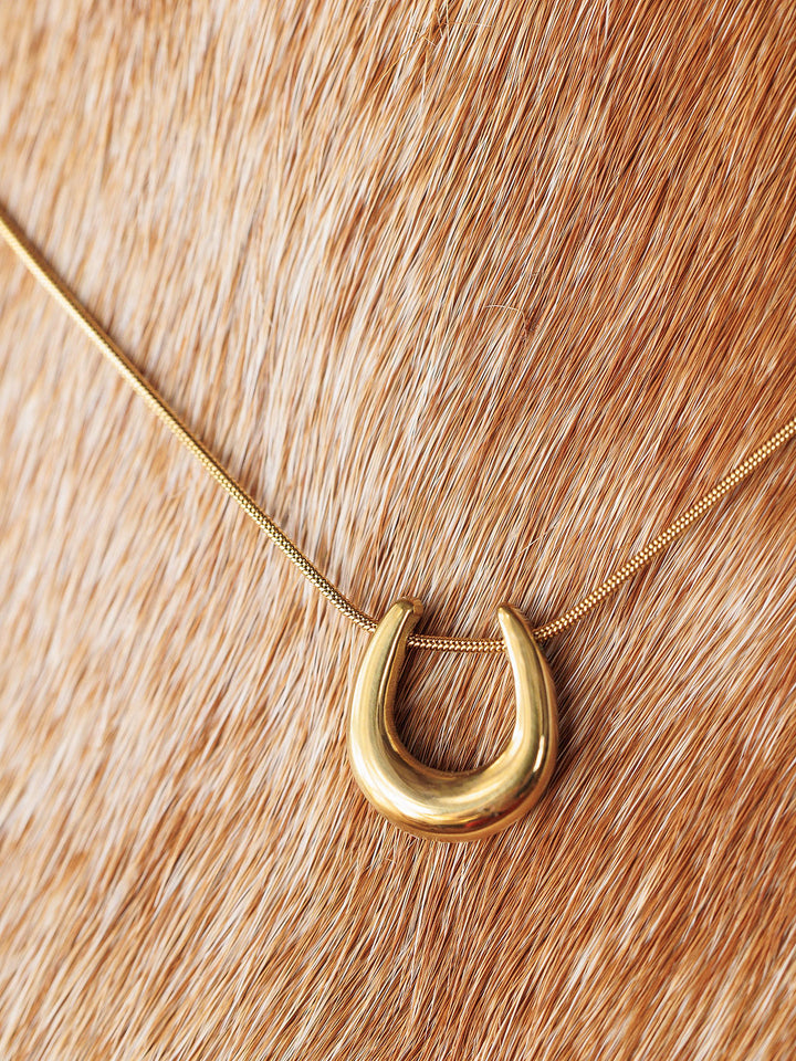 The Lucky Necklace {Gold + Silver} by Savannah Sevens western life{&}style is shown against a light brown cowhide background.