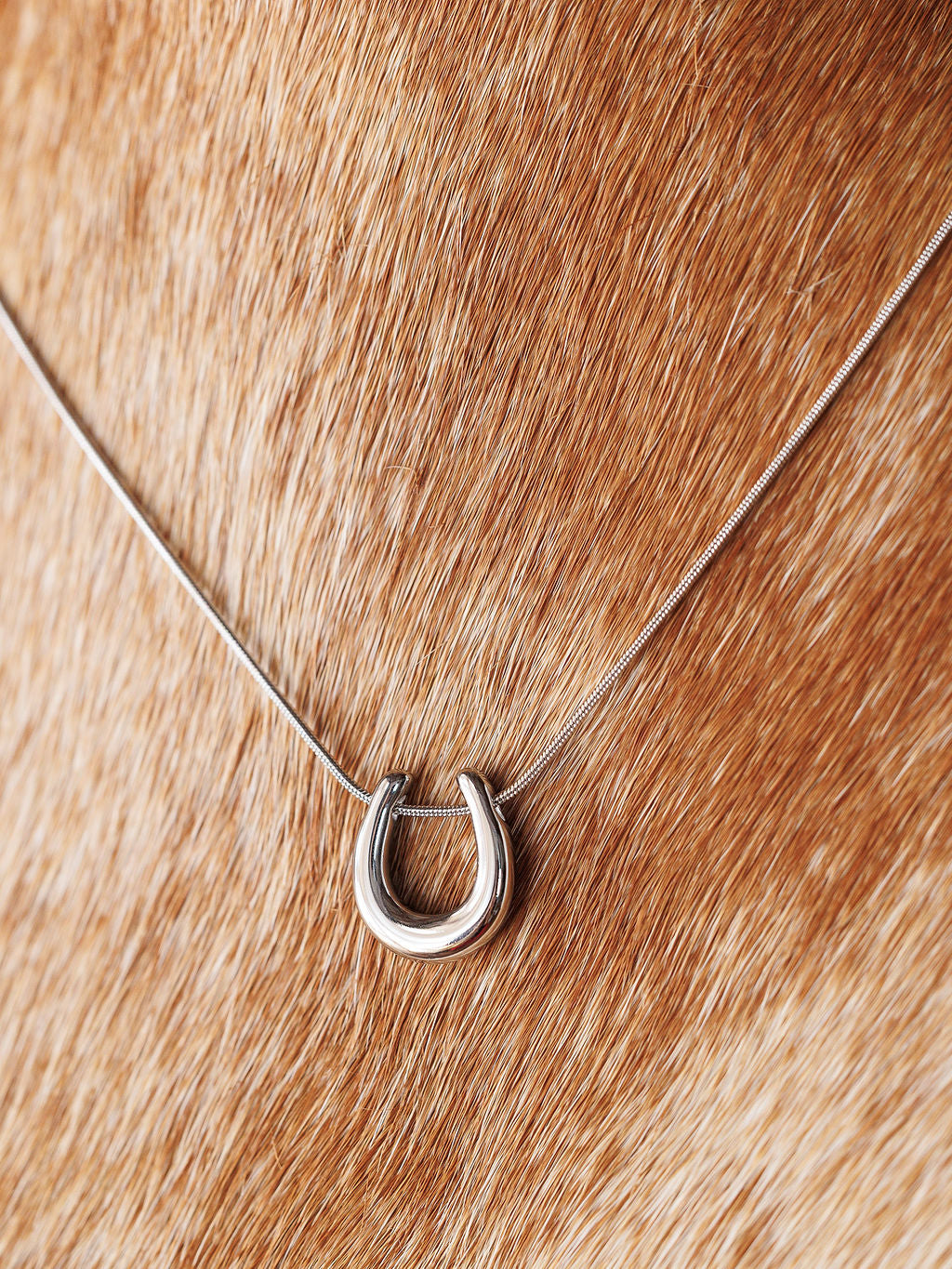 The Lucky Necklace {Gold + Silver} by Savannah Sevens western life{&}style is shown against light brown fur with white spots, accentuating the charm of this stylish horseshoe pendant necklace.