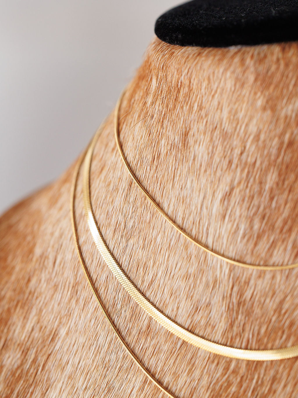 Close-up of a dog's neck with short brown fur, wearing the hypoallergenic gold Lynden Necklace by Savannah Sevens western life{&}style, shown against a neutral background.