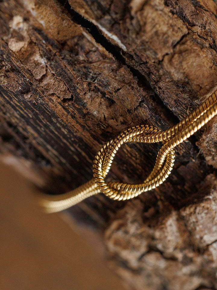 A close-up of textured tree bark with the Aviston Bracelet by Savannah Sevens western life{&}style, a hypoallergenic gold accessory, arranged in a loop on its surface.