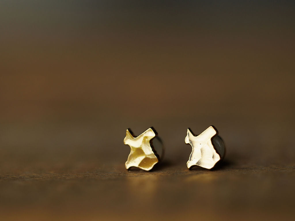 Close-up of two small hammered gold Texas Earrings by Savannah Sevens western life{&}style, shaped like abstract crosses and placed side by side on a smooth brown surface with a blurred background.