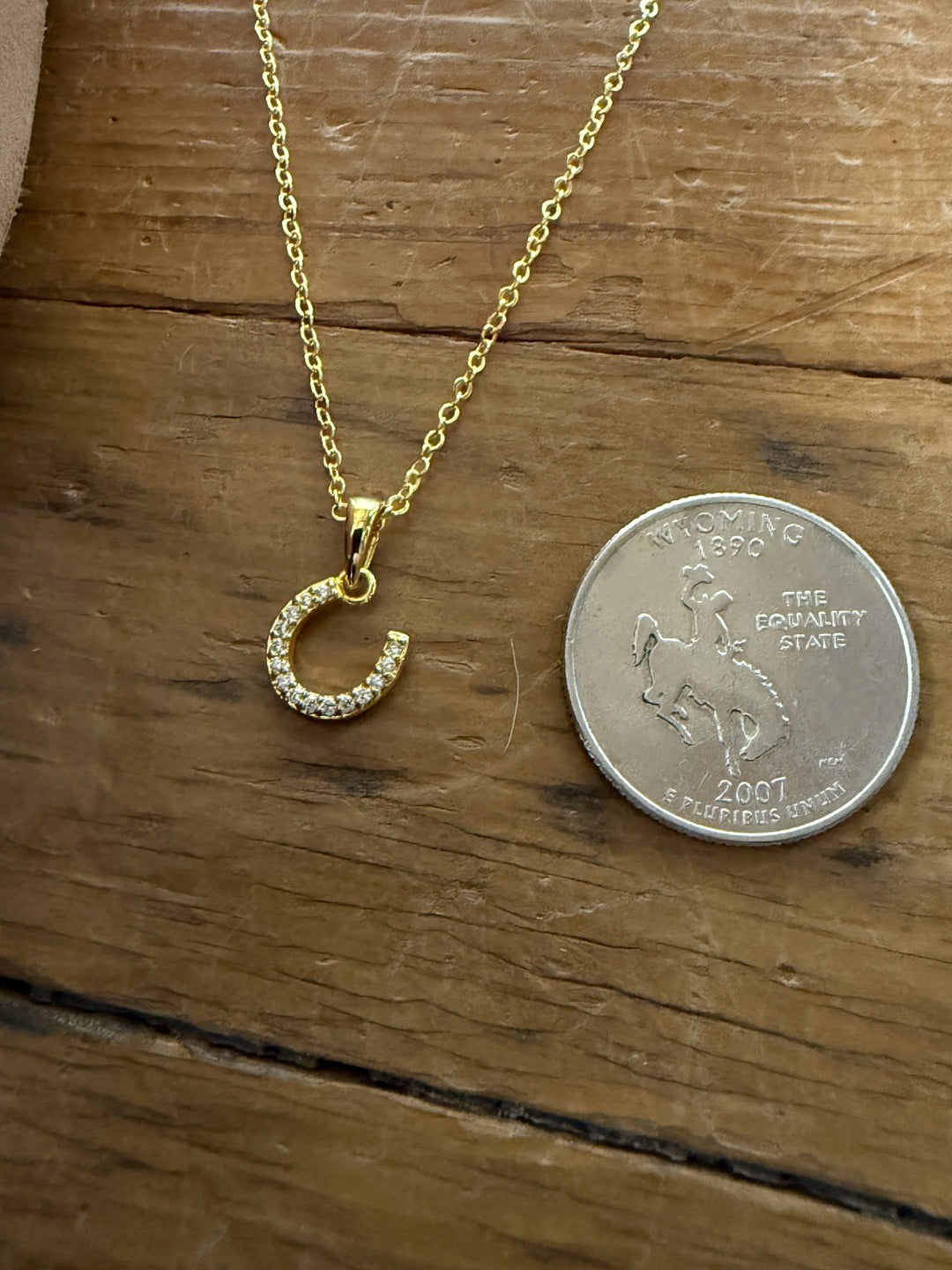 Costilla Horseshoe Pendant Necklace