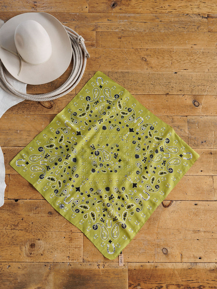 Lucky Paisley Neck Scarf {Chartreuse}