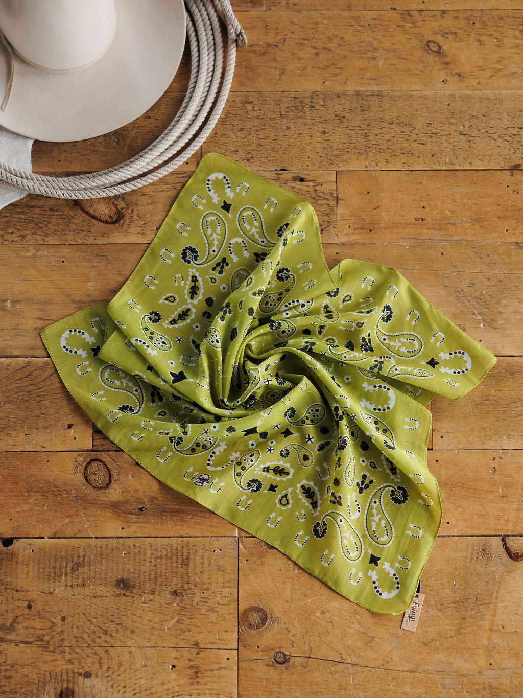 Lucky Paisley Neck Scarf {Chartreuse}