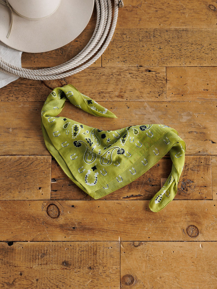 Lucky Paisley Neck Scarf {Chartreuse}
