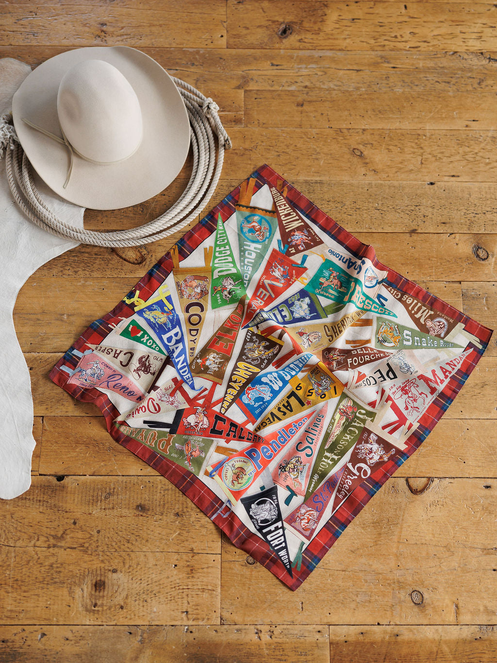 Pennants Neck Scarf