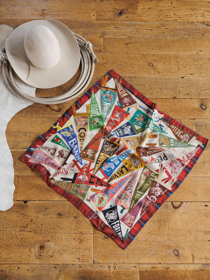 Pennants Neck Scarf