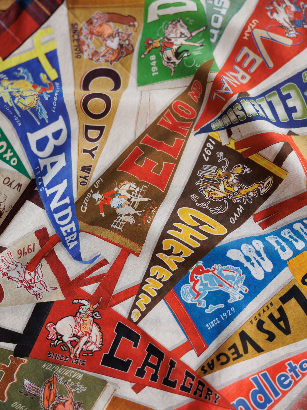 Pennants Neck Scarf