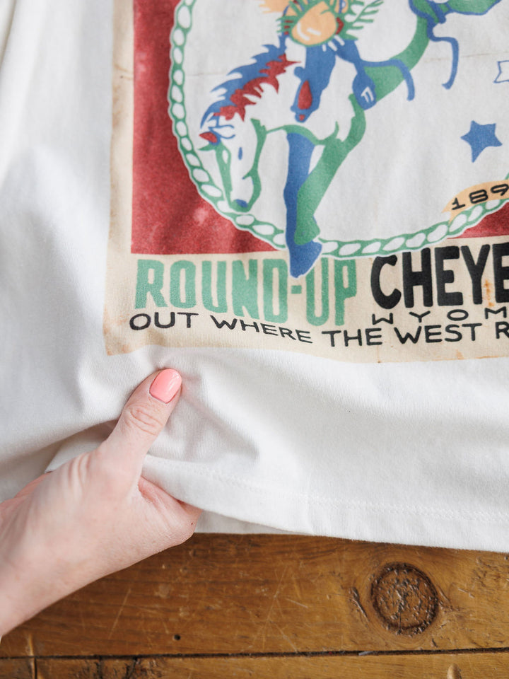 The Cheyenne Round-Up