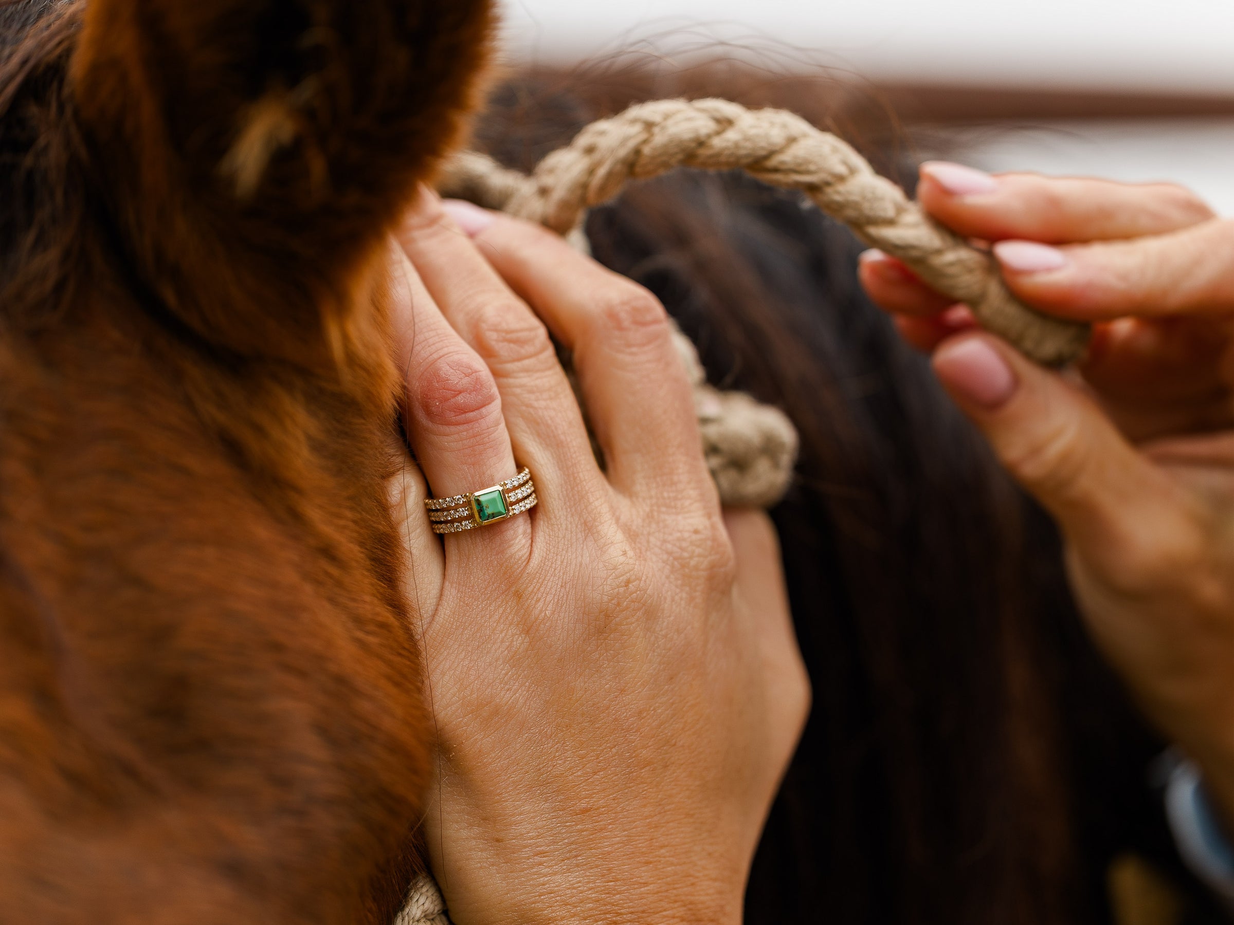 A close-up of hands holding a rope near a horse’s head, with one hand wearing a gold ring set featuring a green gemstone. The person’s neatly manicured nails catch the light.