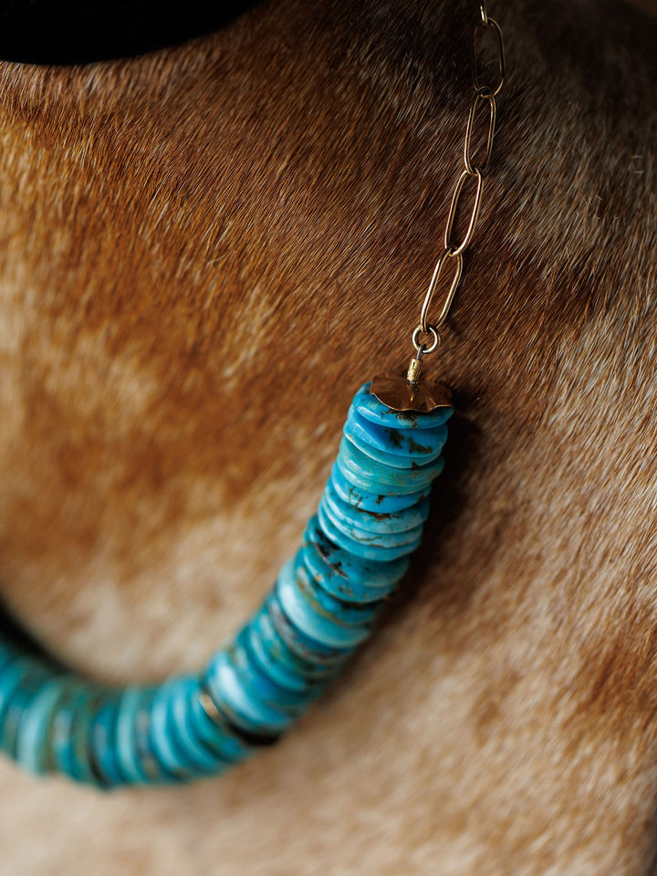 A close-up of the Kingman Necklace by Savannah Sevens western life{&}style, featuring turquoise disc beads and a gold paperclip chain, resting on the short, light brown fur of an animal, likely a dog.