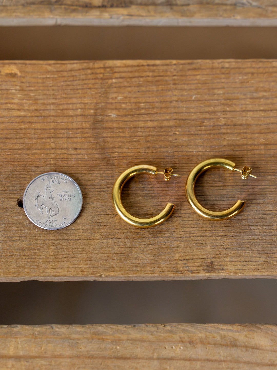 Parton Gold Hoop Earrings