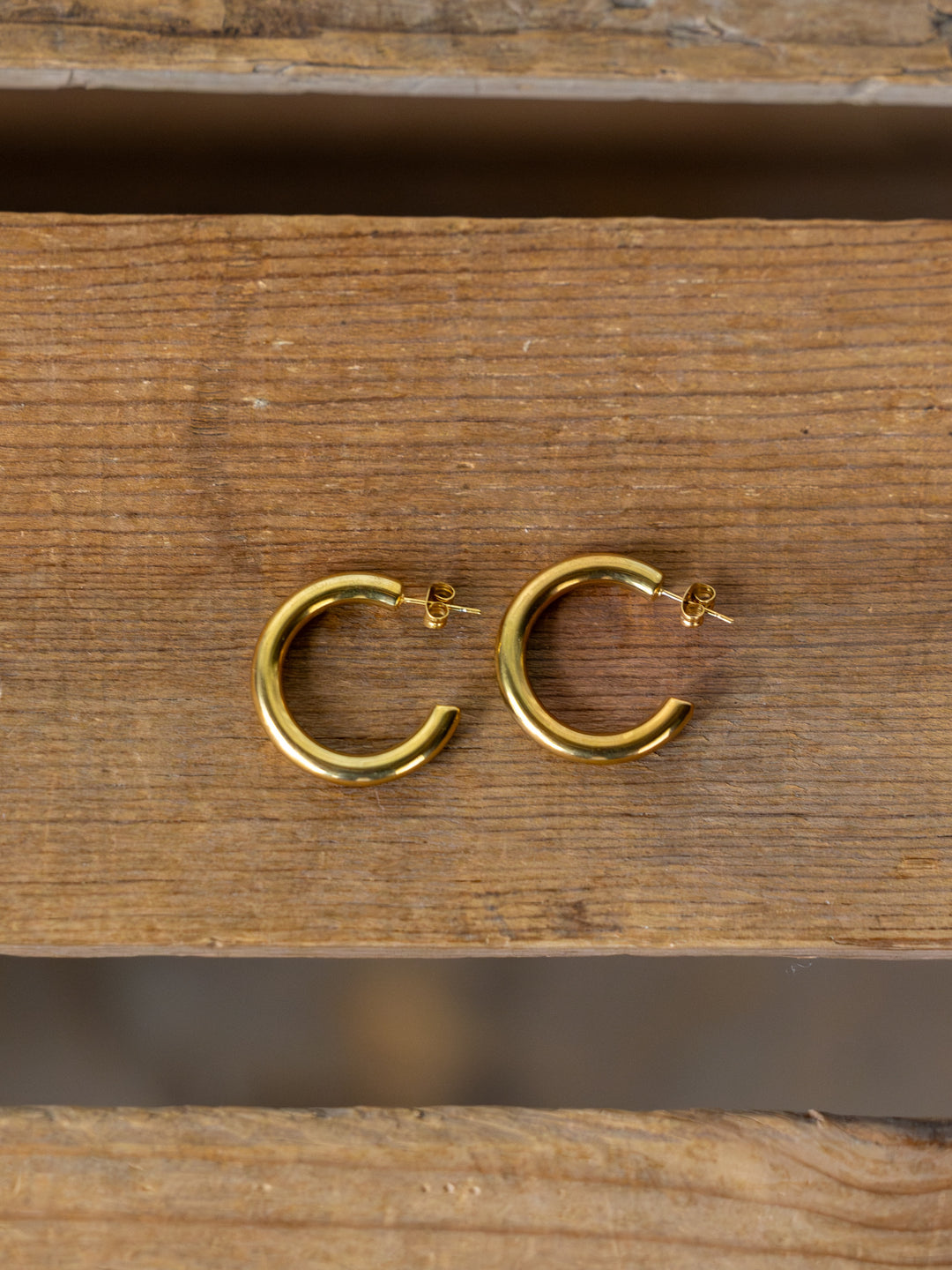Parton Gold Hoop Earrings