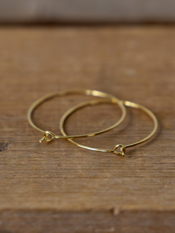 Levy Gold/Silver Hoop Earrings