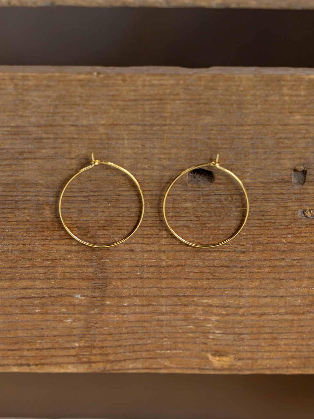 Levy Gold/Silver Hoop Earrings