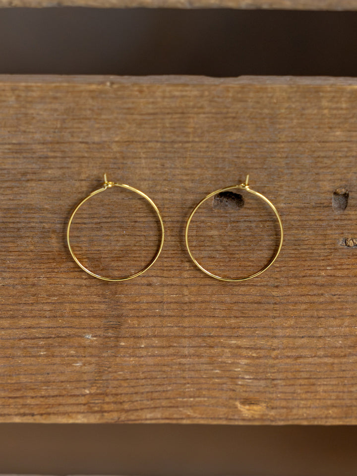 Levy Gold/Silver Hoop Earrings