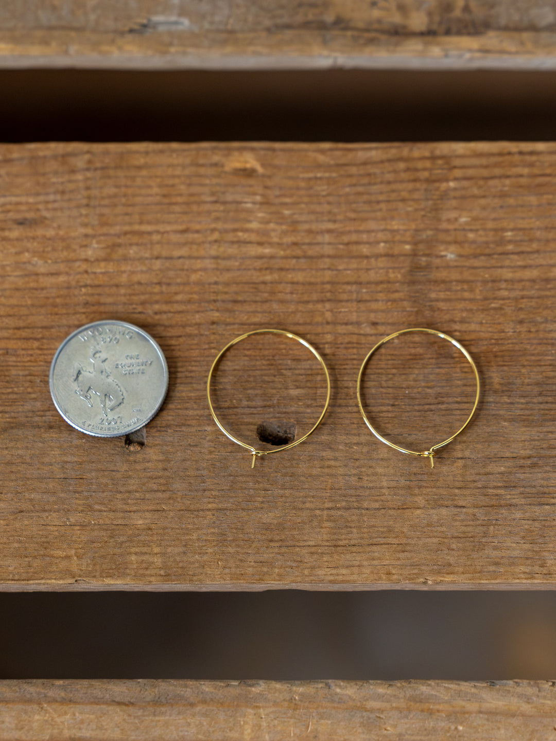 Levy Gold/Silver Hoop Earrings