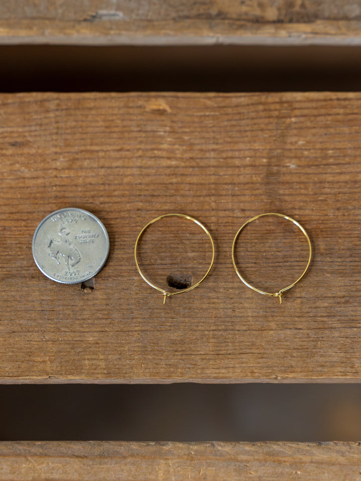 Levy Gold/Silver Hoop Earrings
