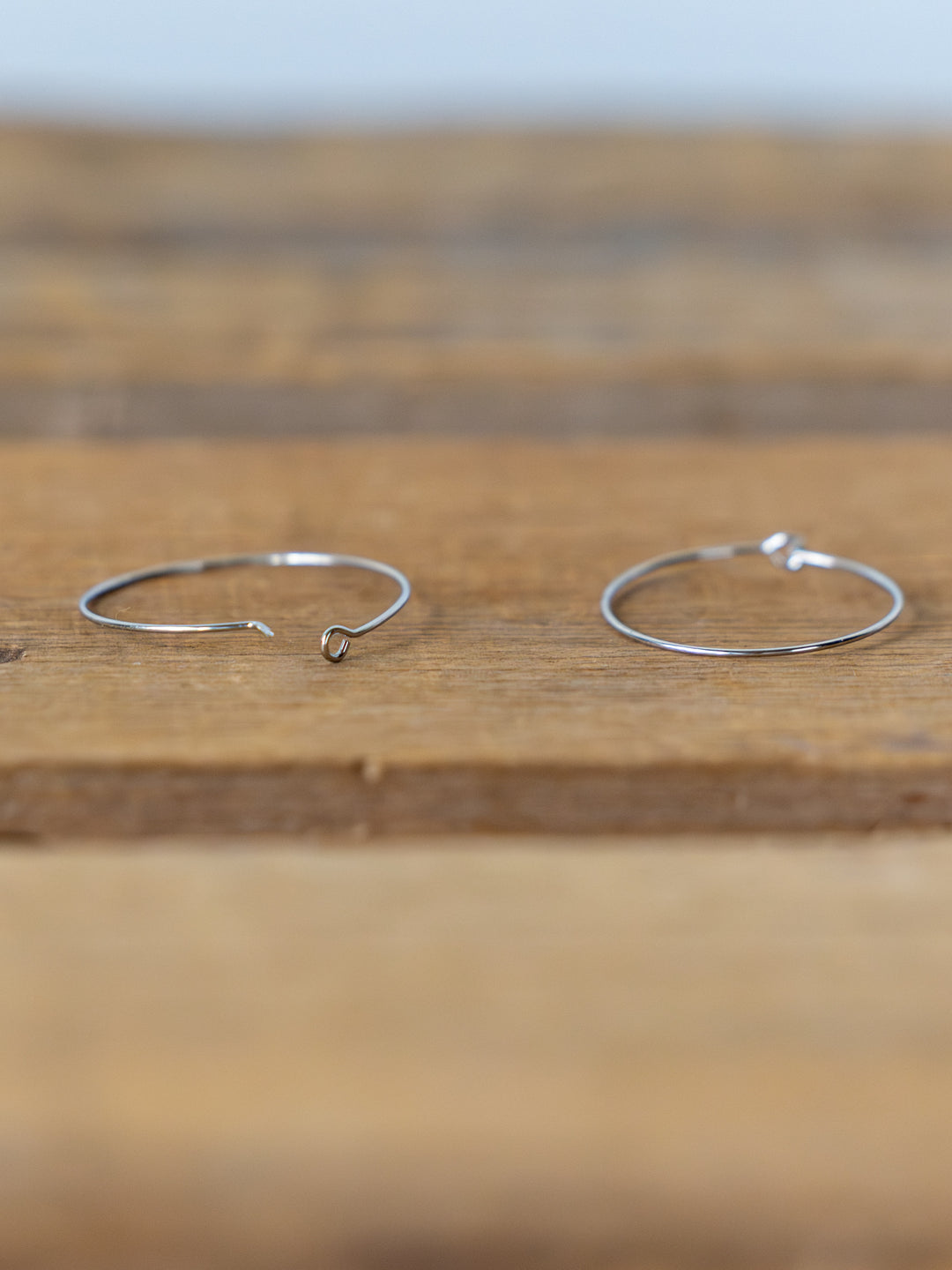 Levy Gold/Silver Hoop Earrings