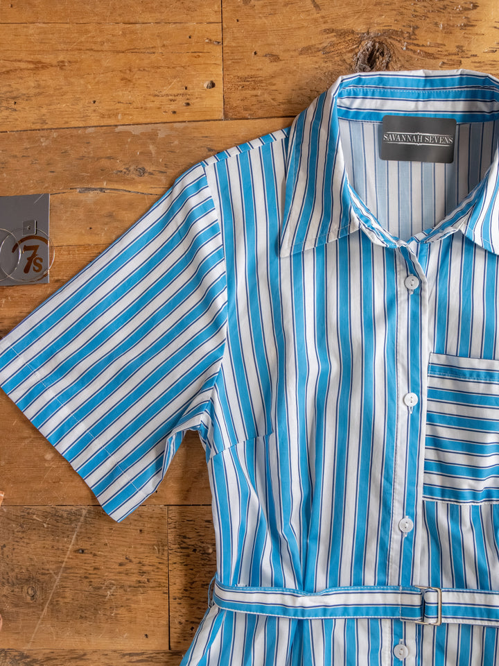 Sartell Blue Striped Button Up Dress