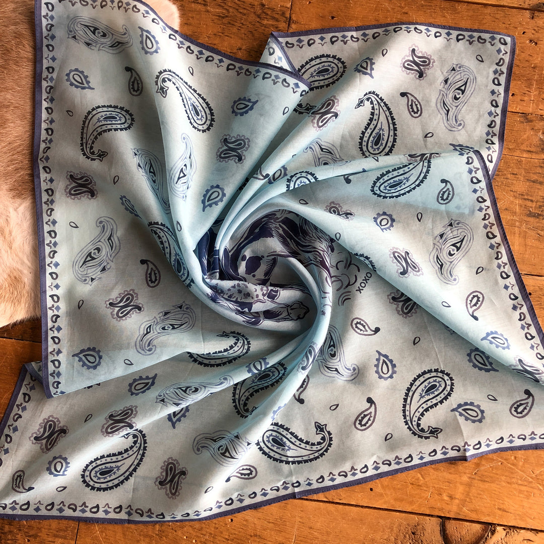 Paisley Cowboy Neck Scarf