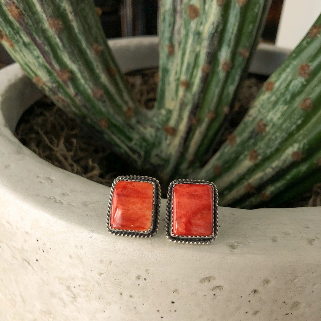 Arizona Earrings