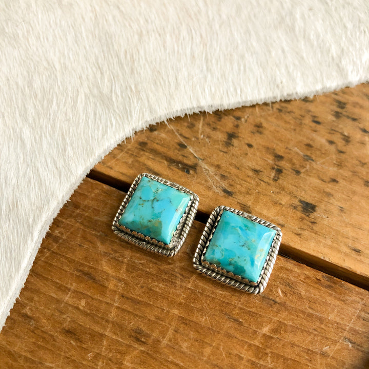 Amargosa Earrings