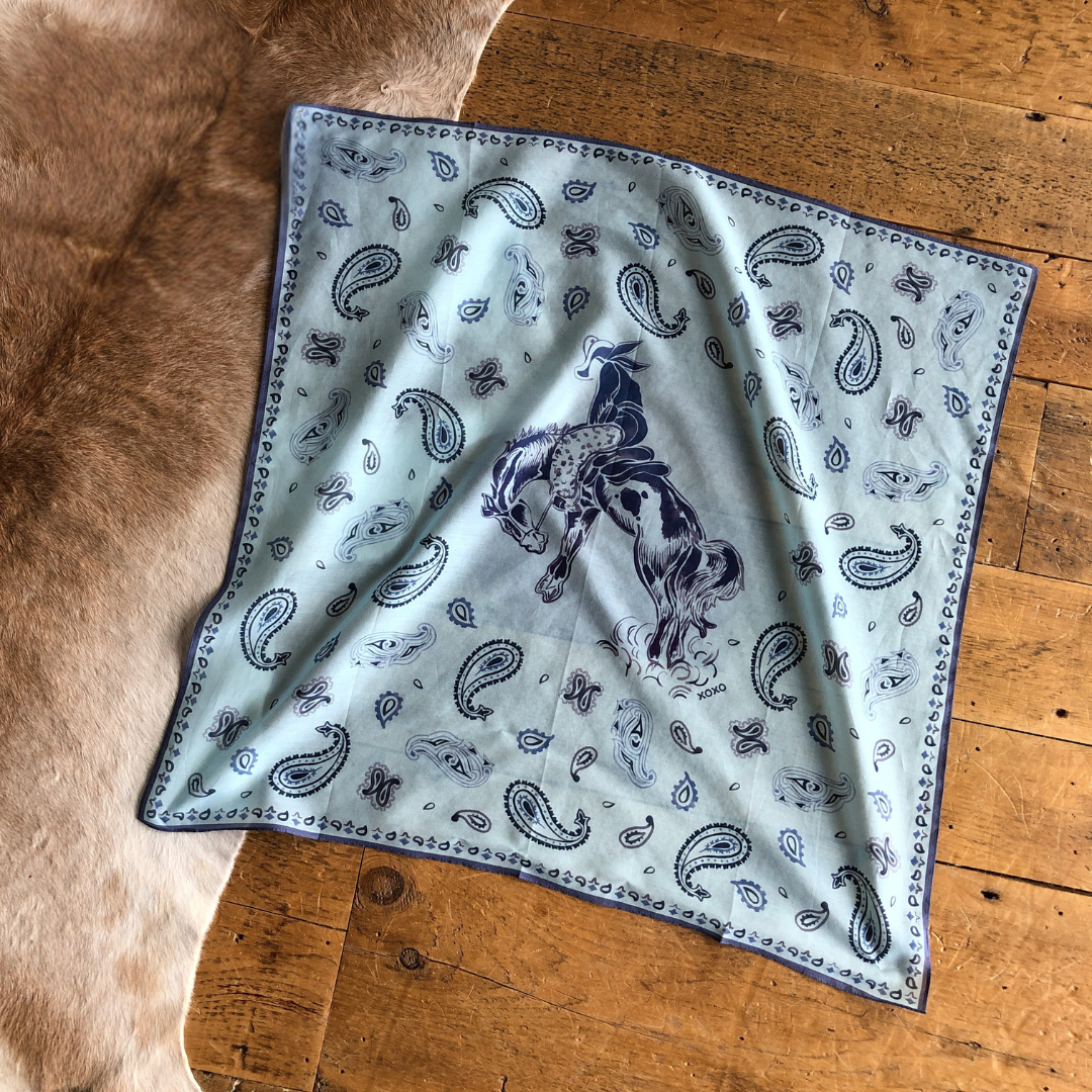 Paisley Cowboy Neck Scarf