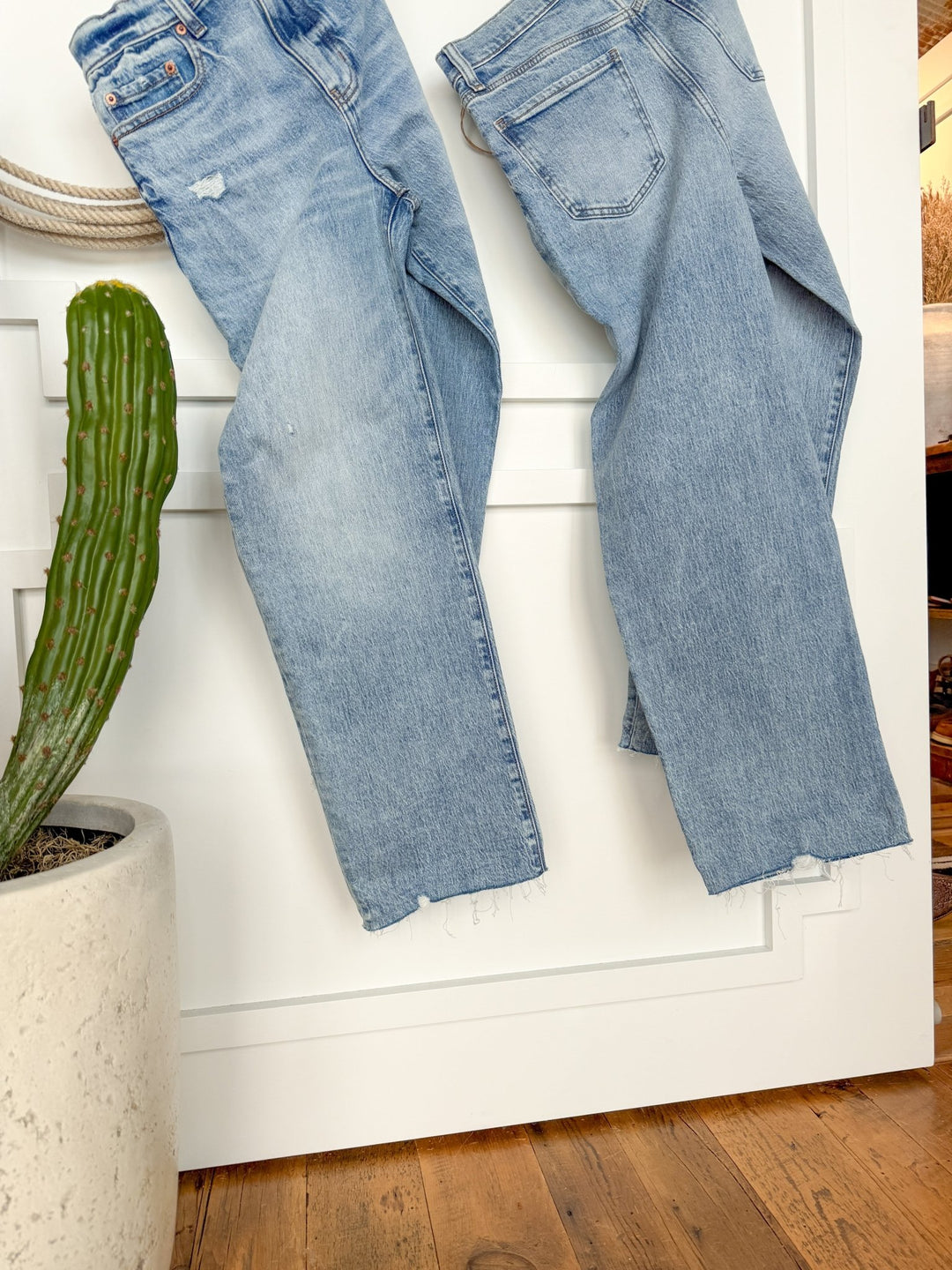 Two pairs of The Andie High Rise 90's Wide Leg Jean by Savannah Sevens western life{&}style in light blue hang side by side on a white wall, with a tall green cactus in a white planter on the wooden floor for a cozy indoor feel.
