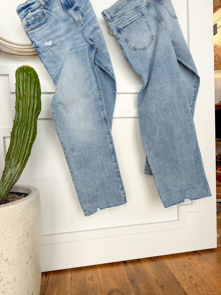 Two pairs of The Andie High Rise 90's Wide Leg Jean by Savannah Sevens western life{&}style in light blue hang side by side on a white wall, with a tall green cactus in a white planter on the wooden floor for a cozy indoor feel.