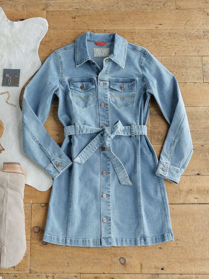 Austell Denim Button Up Dress