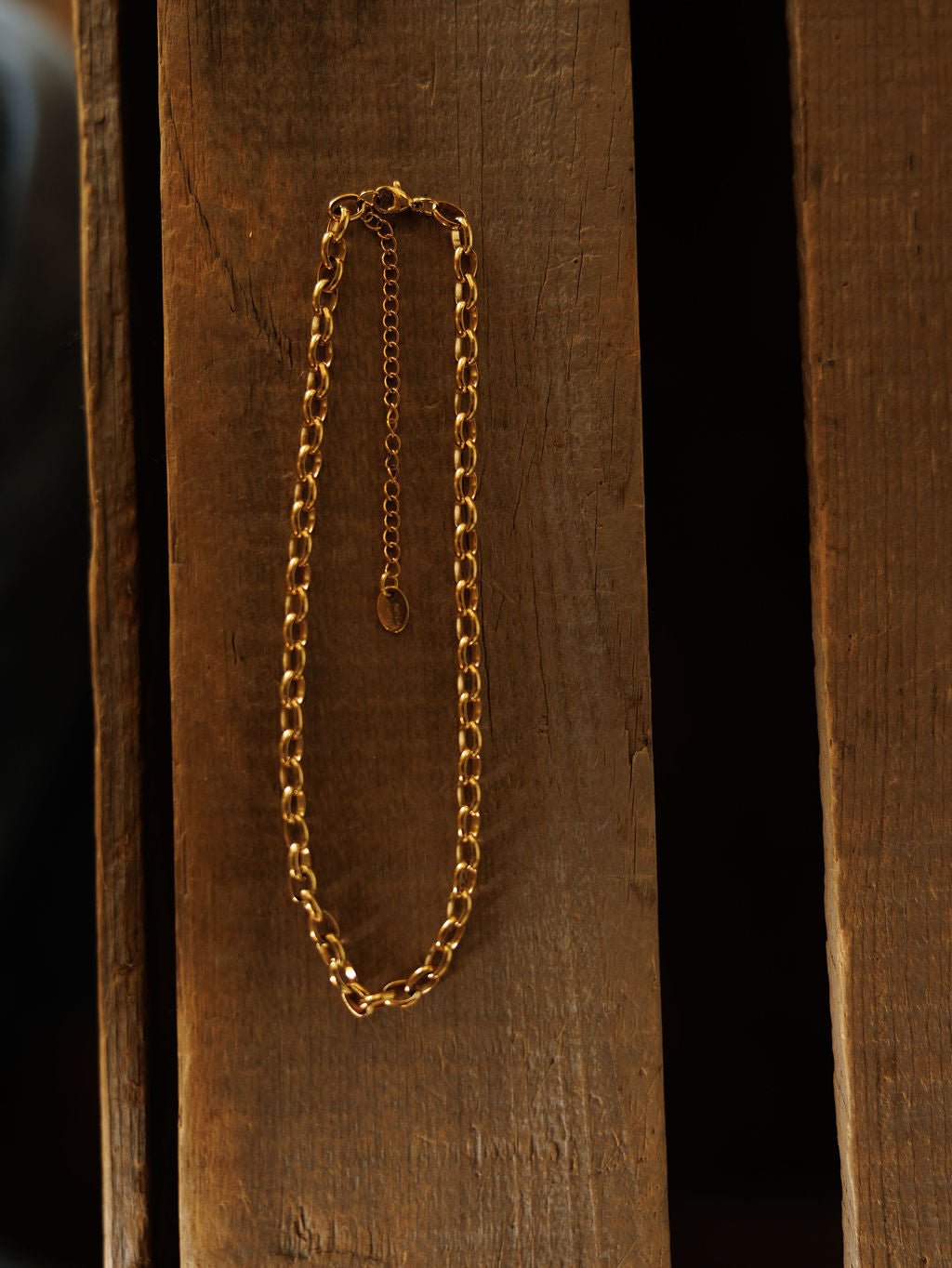 The Cheney Necklace by Savannah Sevens western life{&}style is a waterproof gold choker with an extender clasp, shown flat on rustic wood. Effortlessly elegant, it’s perfect for any look.