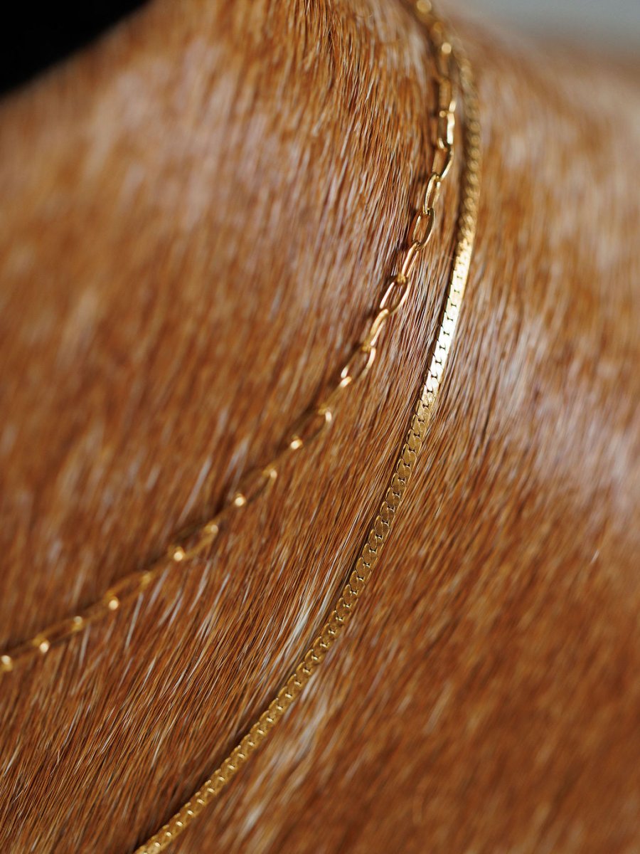 Close-up of two Chenoa Necklaces by Savannah Sevens western life{&}style, featuring 18K gold filled, hypoallergenic chains resting on the short, light brown fur of a dog and showcasing the texture and shine.