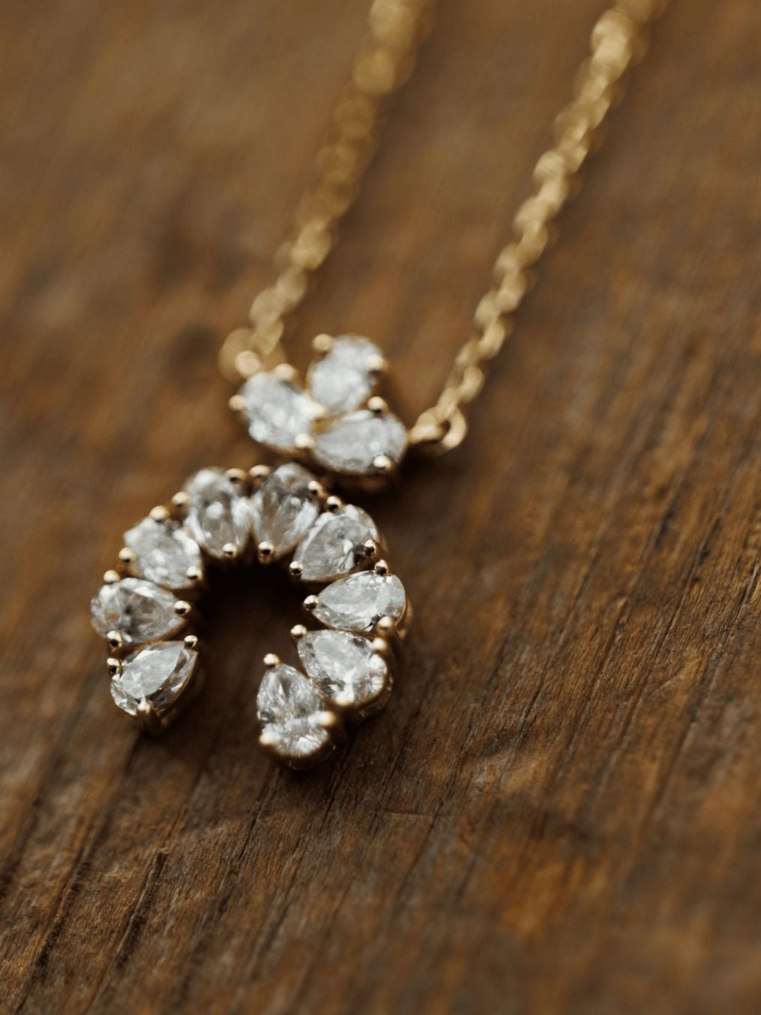 Diamond Gold Squash Necklace
