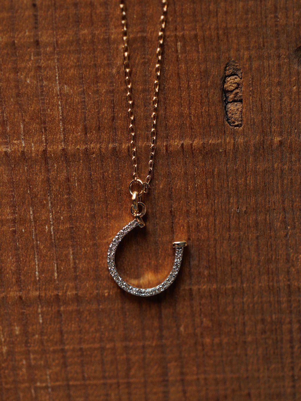 The Diamond Horseshoe Necklace by Savannah Sevens western life{&}style features a sparkling horseshoe pendant, shown on a wooden surface.