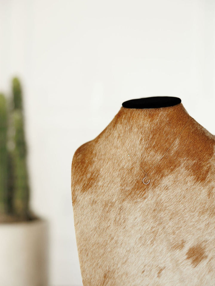 A Diamond Horseshoe Necklace by Savannah Sevens western life{&}style is displayed on a brown and white cowhide jewelry stand, with a cactus in a neutral pot softly blurred in the background.
