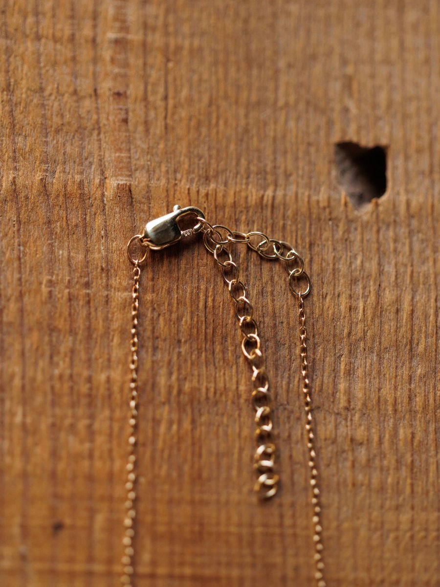 A Diamond Horseshoe Necklace by Savannah Sevens western life{&}style rests on a wooden surface near a small, irregular hole.