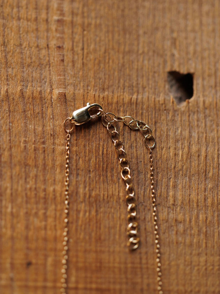A Diamond Horseshoe Necklace by Savannah Sevens western life{&}style rests on a wooden surface near a small, irregular hole.