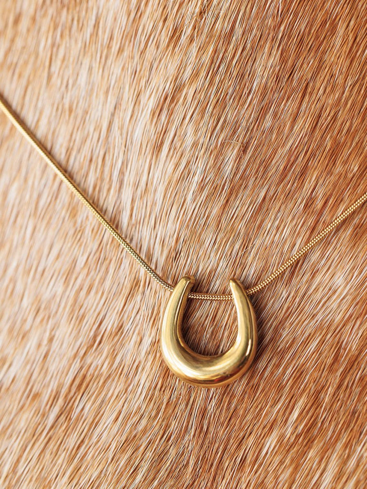 The Lucky Necklace {Gold + Silver} by Savannah Sevens western life{&}style is shown against a light brown cowhide background.