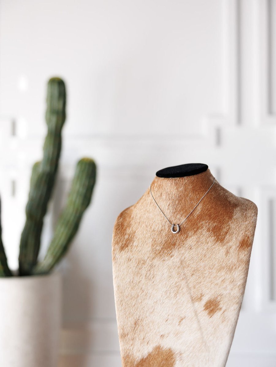 The Lucky Necklace {Gold + Silver} by Savannah Sevens western life{&}style is shown on a brown and white cowhide bust, with a tall green cactus in a white pot and a white wall in the background.