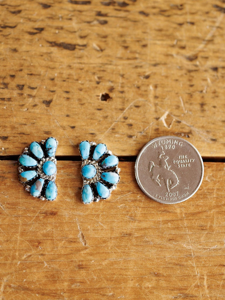 Oswego Earrings