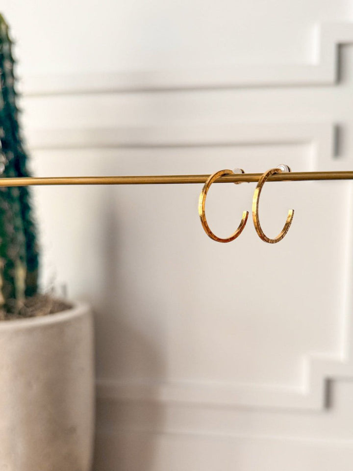 The Posen Earrings by Savannah Sevens western life{&}style, featuring 24K gold plating, hang on a brass rod with a tall potted cactus and a softly blurred white paneled wall in the background.