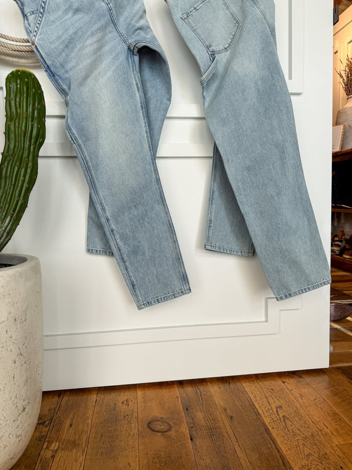 A pair of Savannah Sevens western life{&}style The Quinn High Rise 90's Straight Carpenter Jeans in light blue hangs over a white paneled door beside a tall green cactus in a white planter, with wooden flooring below.
