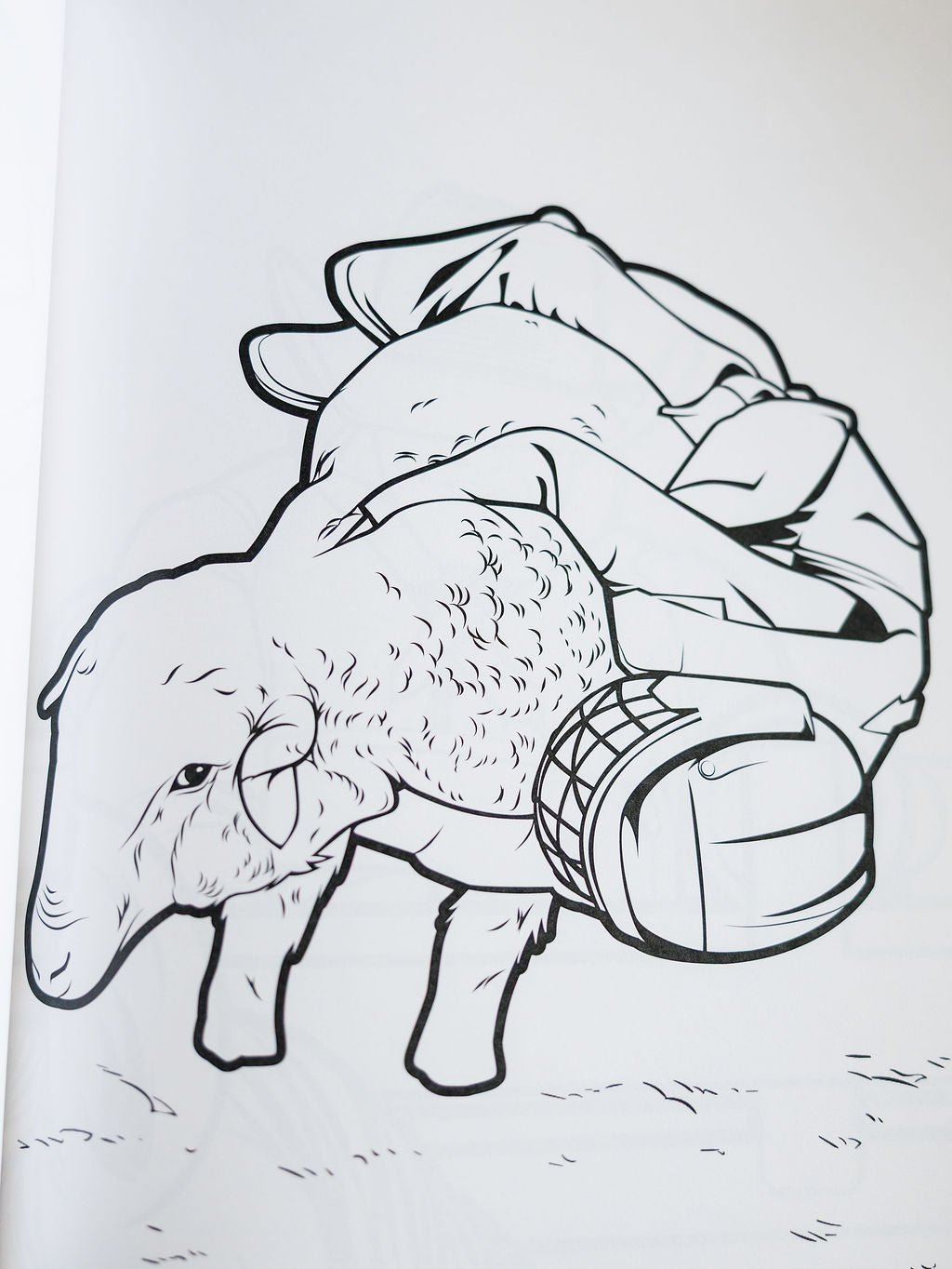 Rodeo Coloring Book
