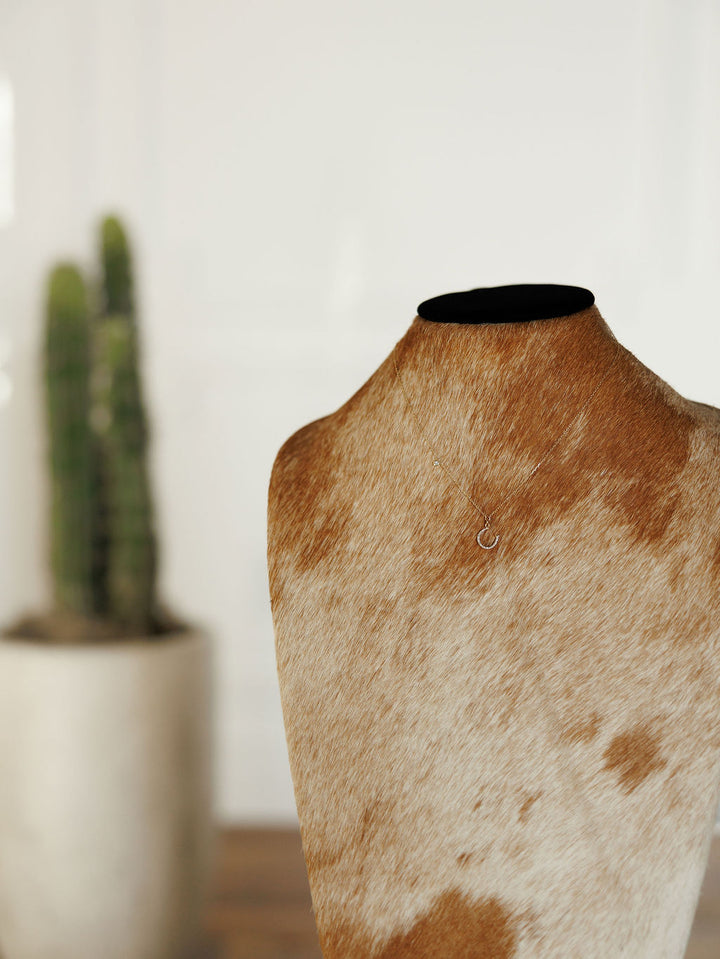 Diamond Horseshoe Necklace