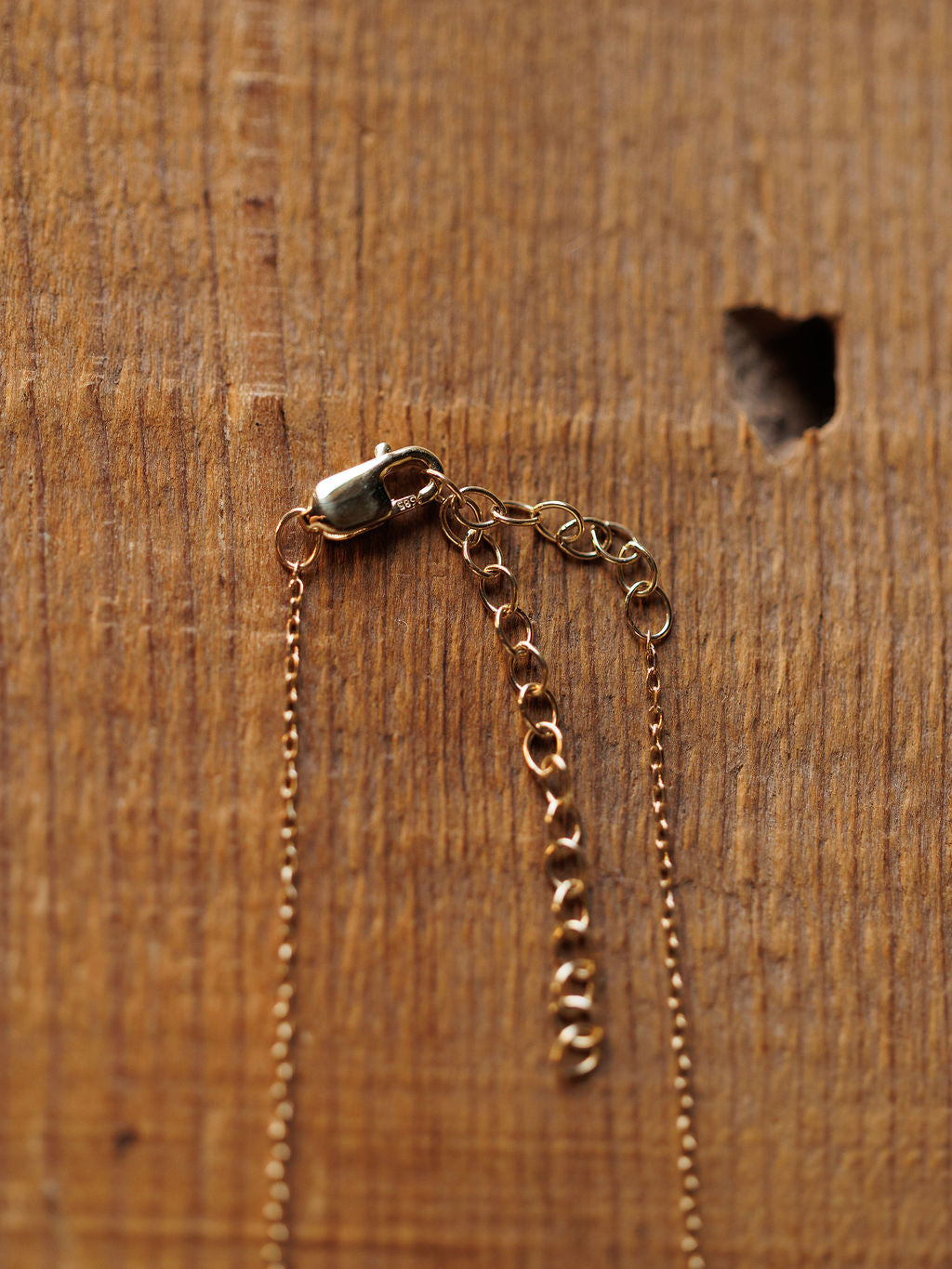 Diamond Horseshoe Necklace