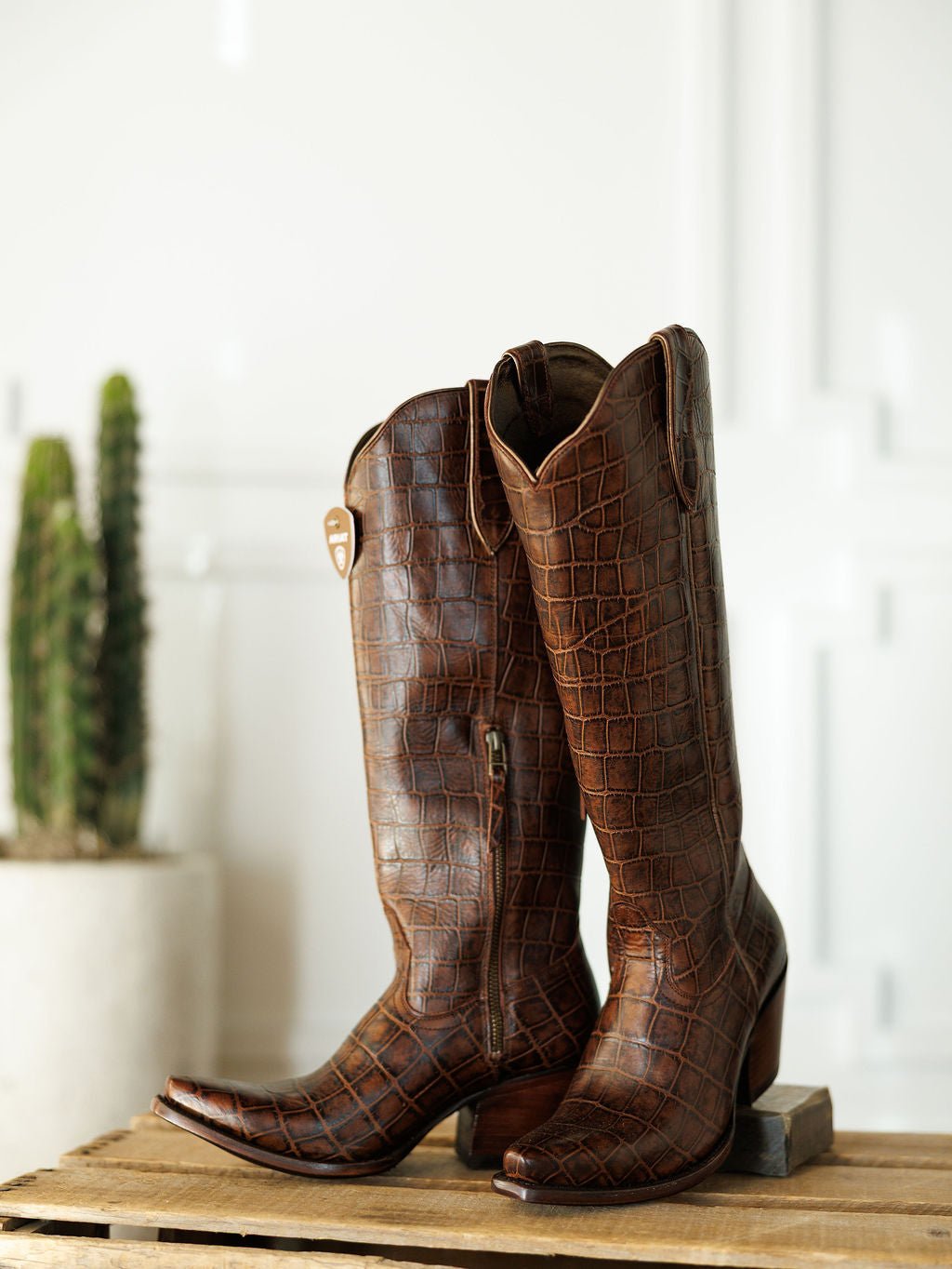 The Tavares by Savannah Sevens western life{&}style: tall, brown, exotic leather snip toe boots with a crocodile pattern and angled heels, showcased on wood. A blurred potted cactus is in the background.