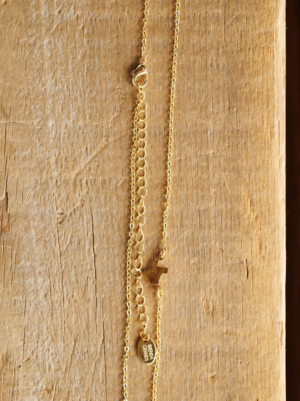 The Texas Necklace by Savannah Sevens western life{&}style features a gold Texas pendant, small dog charm, flat oval tag, and adjustable clasp on a textured wooden display. Hypoallergenic for comfortable, everyday wear.